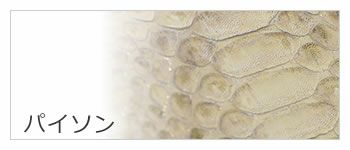 財布 小物 レディース パイソン