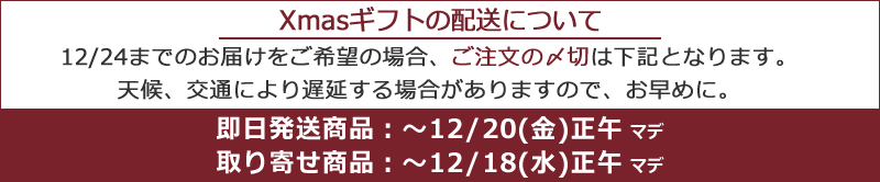 クリスマスギフト2024 喜ばれるクリスマスプレゼント女性 彼女 男性 彼氏 人気 旦那 妻 おしゃれ カップル ペア 高齢 者 20代 30代 社会人 大学生 ブランド 手軽 予算 旦那さん 喜ぶ ギフト 贈り物 予算 使えるクリスマスプレゼント